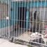 Villa 2 chambre à vendre à Ecatepec De Morelos, Mexico, Ecatepec De Morelos