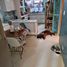 5 Bedroom House for rent in Chile, San Jode De Maipo, Cordillera, Santiago, Chile