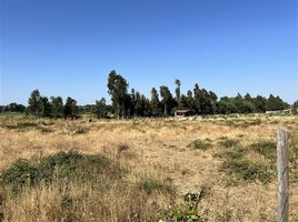  Terreno (Parcela) en venta en Ñuble, Chillan, Diguillín, Ñuble