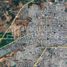  Land for sale in Chile, Chillan, Diguillin, Nuble, Chile