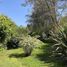  Land for sale in Santiago, Santiago, Santiago, Santiago
