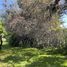  Land for sale in Santiago, Santiago, Santiago, Santiago