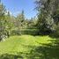  Land for sale in Santiago, Santiago, Santiago, Santiago