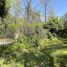  Land for sale in Santiago, Santiago, Santiago, Santiago