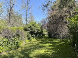  Land for sale in Santiago, Santiago, Santiago, Santiago