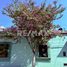 2 Bedroom Condo for rent in Del Centro, Oaxaca, Del Centro