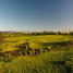  Land for sale in Maule, San Clemente, Talca, Maule
