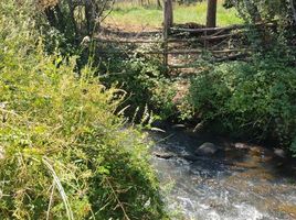  Land for sale in Maule, San Clemente, Talca, Maule