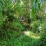  Land for sale in Maule, San Clemente, Talca, Maule