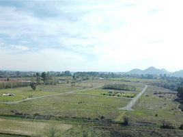  Land for sale in Maule, San Clemente, Talca, Maule