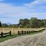  Terreno (Parcela) en venta en Chile, Entre Lagos, Osorno, Los Lagos, Chile