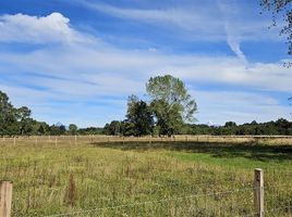  Terreno (Parcela) en venta en Chile, Entre Lagos, Osorno, Los Lagos, Chile