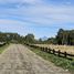  Terreno (Parcela) en venta en Chile, Entre Lagos, Osorno, Los Lagos, Chile