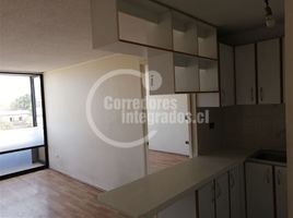 1 Bedroom Condo for rent in Puente Alto, Cordillera, Puente Alto