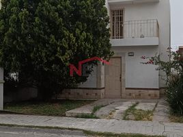 在墨西哥出租的 屋, Saltillo, Coahuila, 墨西哥