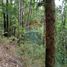 Land for sale in Araucania, Pucon, Cautin, Araucania