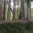  Land for sale in Araucania, Pucon, Cautin, Araucania
