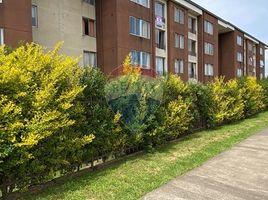 3 Habitación Apartamento en alquiler en Nueva Imperial, Cautín, Nueva Imperial