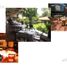 Land for sale in Chignahuapan, Puebla, Chignahuapan