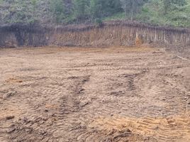  Grundstück zu verkaufen in Guarne, Antioquia, Guarne