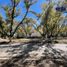  Land for sale in Durango, Durango, Durango, Durango