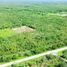 Terrain à vendre à Dzidzantun, Yucatan, Dzidzantun