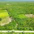 Terrain à vendre à Dzidzantun, Yucatan, Dzidzantun
