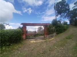 6 Habitación Villa en venta en Cundinamarca, Supata, Cundinamarca