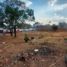  Terreno (Parcela) en venta en Cintalapa, Chiapas, Cintalapa