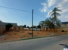  Terreno (Parcela) en venta en Cintalapa, Chiapas, Cintalapa