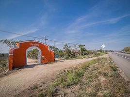  Terreno (Parcela) en venta en Ocozocoautla De Espinosa, Chiapas, Ocozocoautla De Espinosa