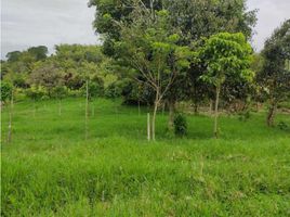  Land for sale in Pereira, Risaralda, Pereira