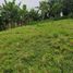  Land for sale in Pereira, Risaralda, Pereira