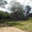  Land for sale in Tolima, Ibague, Tolima