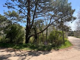  Land for sale in Villa Gesell, Buenos Aires, Villa Gesell