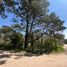  Land for sale in Villa Gesell, Buenos Aires, Villa Gesell