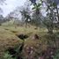  Land for sale in Envigado, Antioquia, Envigado