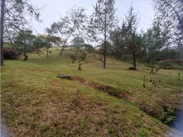  Terreno (Parcela) en venta en Envigado, Antioquia, Envigado