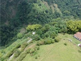  Terreno (Parcela) en venta en Manizales, Caldas, Manizales