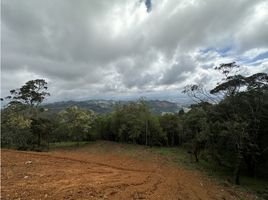  Terreno (Parcela) en venta en Envigado, Antioquia, Envigado