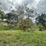 Terrain à vendre à La Ceja, Antioquia, La Ceja, Antioquia, Colombie