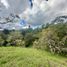 Terrain à vendre à La Ceja, Antioquia, La Ceja, Antioquia, Colombie