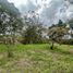 Terrain à vendre à La Ceja, Antioquia, La Ceja, Antioquia, Colombie