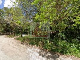  Grundstück zu verkaufen in Isla Mujeres, Quintana Roo, Isla Mujeres