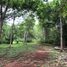 Terreno (Parcela) en venta en Valladolid, Yucatán, Valladolid