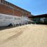  Land for rent in Culiacan, Sinaloa, Culiacan, Sinaloa