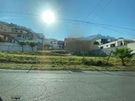  Terreno (Parcela) en venta en Monterrey, Nuevo León, Monterrey