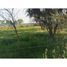  Land for sale in Maule, Longavi, Linares, Maule