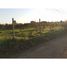  Land for sale in Maule, Longavi, Linares, Maule