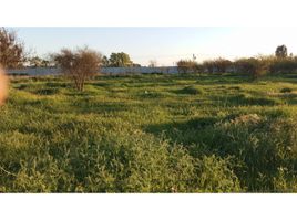  Land for sale in Maule, Longavi, Linares, Maule
